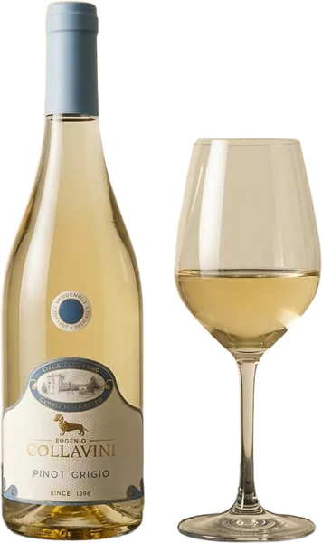 PINOT GRIGIO · Canlungo wine, bottle and glass